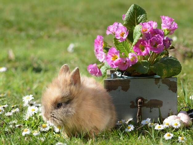 Einfamilienhaus zum Kauf 592.030 € 6 Zimmer 154 m² 485 m² Grundstück Ickern Castrop Rauxel 44577