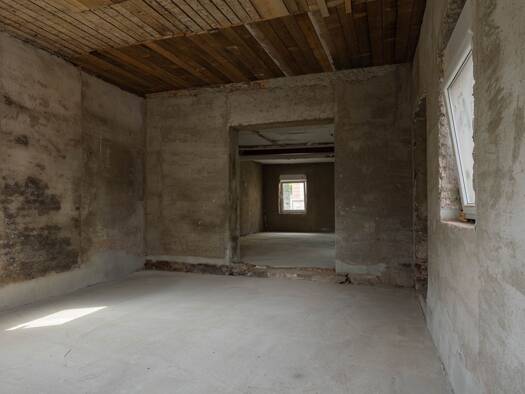 Einfamilienhaus zum Kauf 67.000 € 7 Zimmer 170 m² 410 m² Grundstück Reumtengrün Auerbach 08209