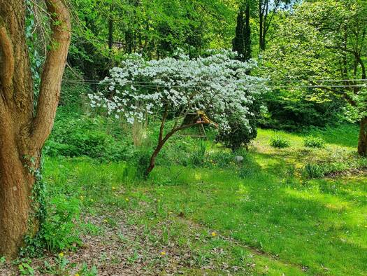 Doppelhaushälfte zum Kauf provisionsfrei 799.990 € 5 Zimmer 171 m² 372 m² Grundstück Berlin 10115