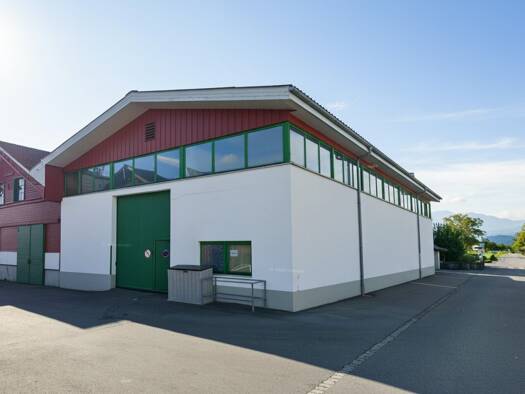 Produktionshalle zur Miete 2.100 € 350 m² Lagerfläche Sägerstraße 49 Lustenau 6890
