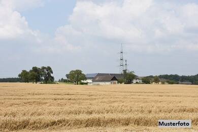 Bauernhaus zur Zwangsversteigerung 500.000 € 1 Zimmer 527 m² 193.445 m² Grundstück Niendorf Papendorf 18059