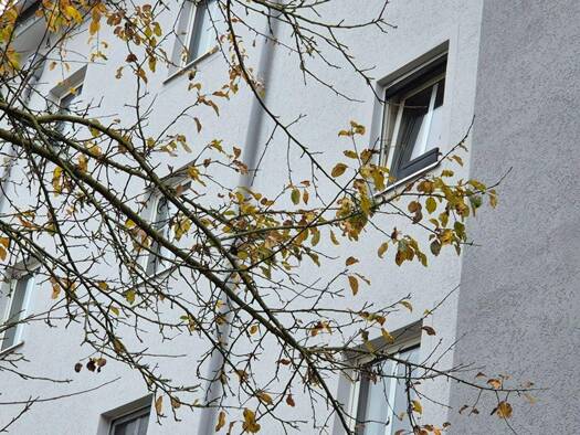 Wohnung zum Kauf provisionsfrei 229.000 € 2 Zimmer 52,5 m² Hermann-Geib-Str. 43 Kasernenviertel Regensburg 93053