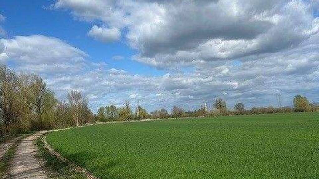 Land-/Forstwirtschaft zum Kauf provisionsfrei Kehl 77694