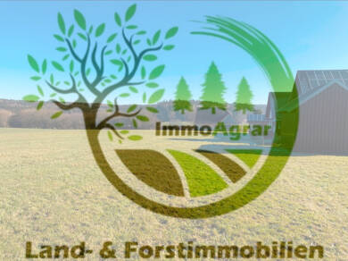 Landwirtschaftliche Fläche zum Kauf 8,99 € 24.000 m² 24.000 m² Grundstück Breitenbrunn Breitenbrunn 87739