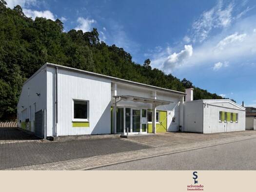 Produktionshalle zum Kauf 1.000 m² Lagerfläche Münchweiler an der Rodalb 66981