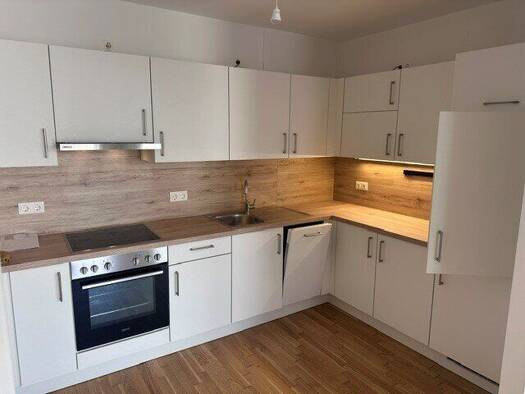 Wohnung zur Miete 808 € 2 Zimmer 55,7 m² 1. Geschoss frei ab sofort Maximilian-Reich-Weg 4 Floridsdorf 1210