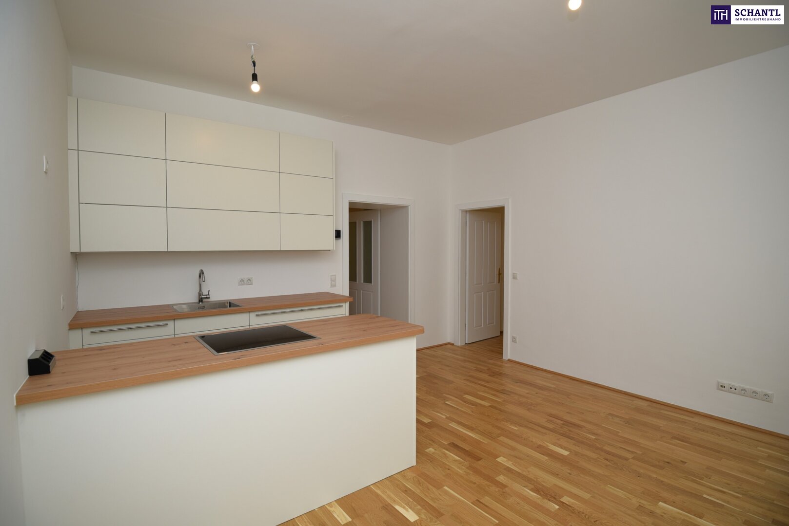 Wohnung zum Kauf 445.000 € 3 Zimmer 64,1 m²<br/>Wohnfläche EG<br/>Geschoss Meravigliagasse Wien 1060