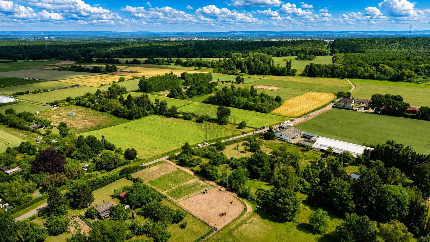 Land-/Forstwirtschaft zum Kauf - Więcej