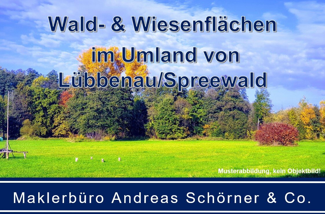 Forstwirtschaft zum Kauf 93.800 m²<br/>Grundstück Lübbenau Lübbenau/Spreewald 03222