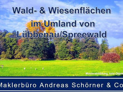 Forstwirtschaft zum Kauf 93.800 m² Grundstück Lübbenau Lübbenau/Spreewald 03222