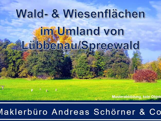 Forstwirtschaft zum Kauf 93.800 m² Grundstück Lübbenau Lübbenau/Spreewald 03222