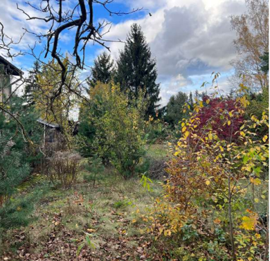 Grundstück zum Kauf provisionsfrei 260.000 € 867 m² Grundstück Zernsdorf Königs-Wusterhausen 15731