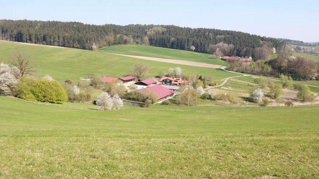 Einfamilienhaus zum Kauf 3.500.000 € 10 Zimmer 440,5 m² 417.474 m² Grundstück Spöck Bad Birnbach 84364