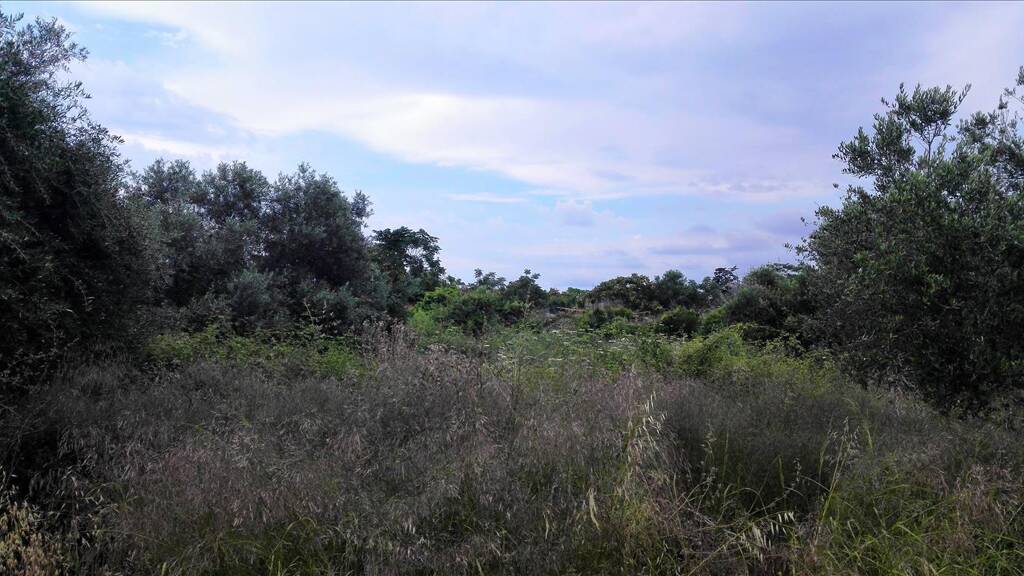 Land-/Forstwirtschaft zum Kauf 203.000 € 400 m² Grundstück Kreta