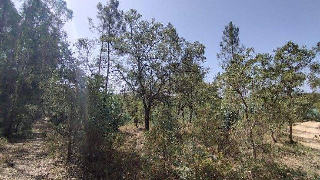 Grundstück zum Kauf 50.000 € 12.920 m² Grundstück Rio Maior