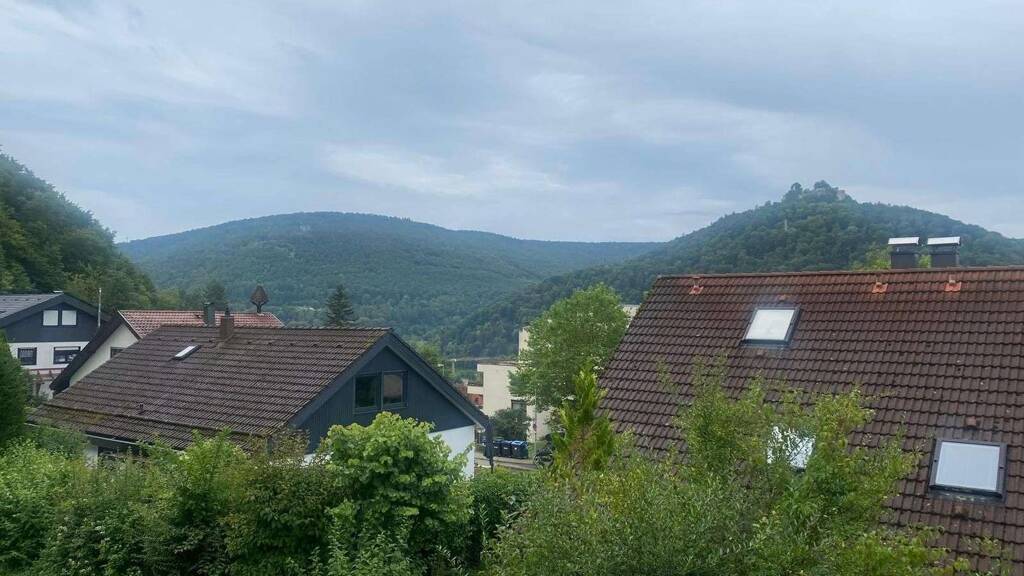 Studio zum Kauf provisionsfrei 133.000 € 1 Zimmer 50 m² 3. Geschoss Breitensteinstr. 66 Bad Urach 72574