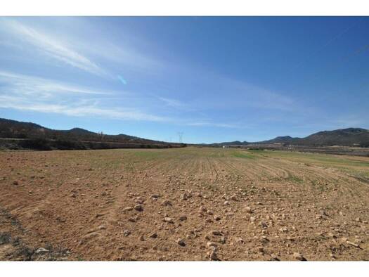Acker-/Waldstück zum Kauf 85.495 € Salinas 03638