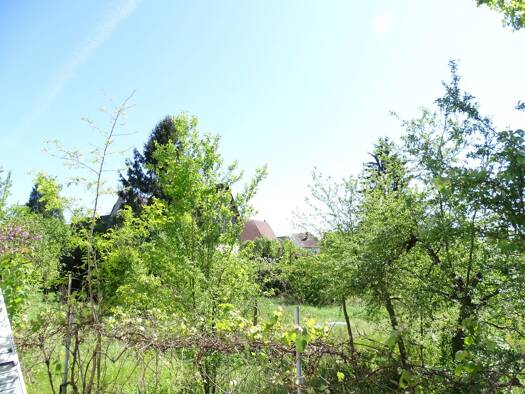 Wohnung zum Kauf - Erstbezug provisionsfrei 725.000 € 4 Zimmer 118 m² EG Scipiostraße 24 Plankstadt 68723