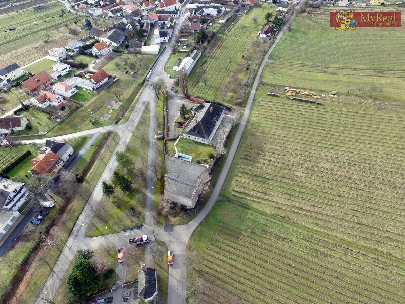 Weingut zum Kauf 3.200.000 € 15.000 m²<br/>Grundstück Sankt Georgen am Leithagebirge Eisenstadt 7000