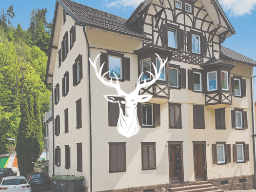 Wohnanlage zum Kauf 349.000 € 12 Zimmer 310 m² 251 m² Grundstück frei ab sofort Lauterbach 78730
