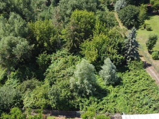 Grundstück zum Kauf 220.000 € 3.070 m² Grundstück Zossen Zossen 15806