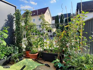 Maisonette zur Miete 800 € 3 Zimmer 87 m² frei ab 01.09.2025 Parsberg Parsberg 92331