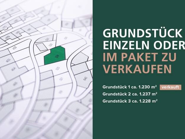 Grundstück zum Kauf 95.000 € 3.695 m² Grundstück Dammereez Dersenow 19273