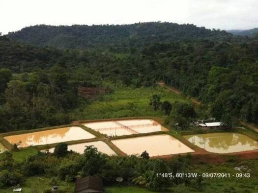 Haus zum Kauf 89.000 € 1 Zimmer 500.000 m² Grundstück Manaus 69028000