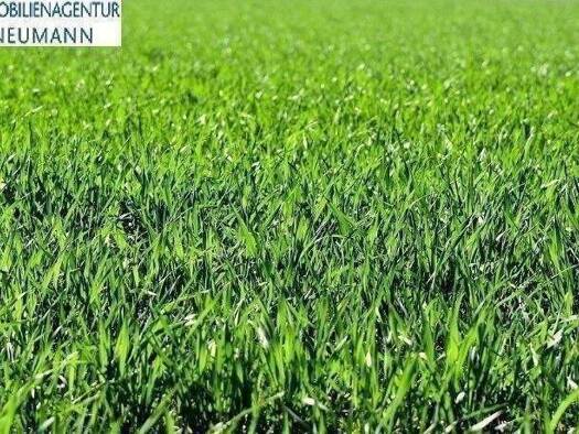 Grundstück zum Kauf 2.600 m² Grundstück Baugenehmigung vorhanden Manching 85077