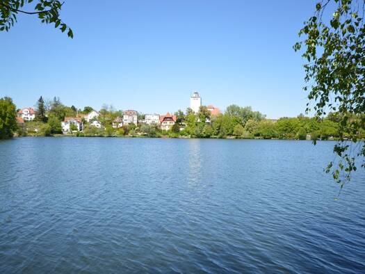 Haus zum Kauf 10 Zimmer 217 m² 110 m² Grundstück Bad Waldsee 88339