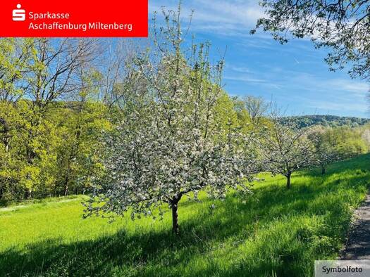Grundstück zum Kauf 250.000 € 1.171 m² Grundstück Laufach Laufach 63846