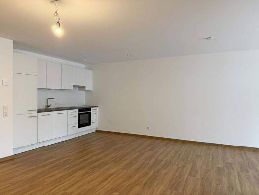 Wohnung zur Miete 1.213 € 3 Zimmer 64 m² EG Bregenz 6900