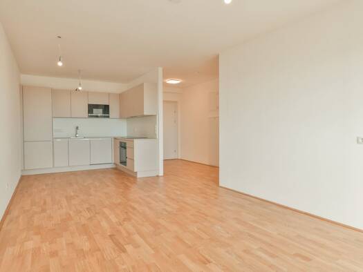 Wohnung zur Miete - Erstbezug 1.006 € 3 Zimmer 69,9 m² 1. Geschoss Bründlgraben 45A Krems an der Donau 3500