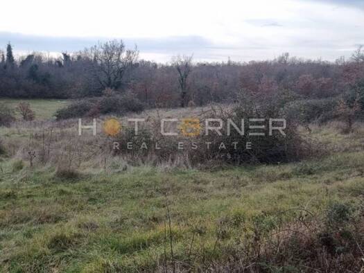 Acker-/Waldstück zum Kauf 70.000 € Radetići, Tinjan Tinjan 52444