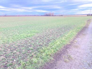 Landwirtschaftliche Fläche zum Kauf 144.390 m² Grundstück Pegau Pegau 04539
