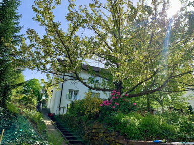 Mehrfamilienhaus zum Kauf provisionsfrei 879.000 € 8 Zimmer 209 m² 960 m² Grundstück Baden-Baden - Kernstadt Baden-Baden 76530