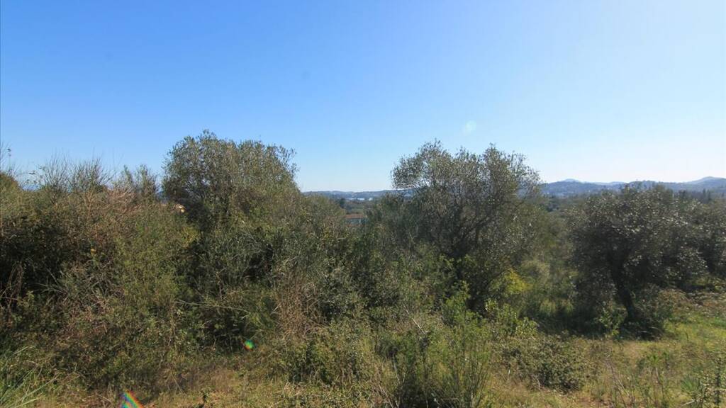 Land-/Forstwirtschaft zum Kauf 180.000 € 4.131 m² Grundstück Korfu