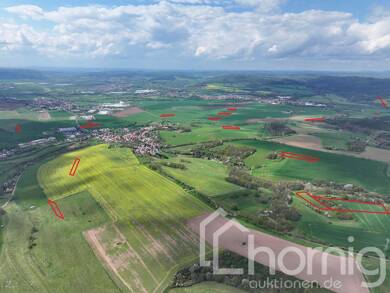 Land-/Forstwirtschaft zum Kauf 65.000 € 94.130 m² Grundstück Herda Werra-Suhl-Tal 99837