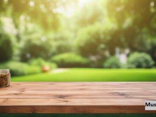 Freizeitgrundstück zum Kauf 47.000 € 1.210 m² Grundstück Münchendorf 2482