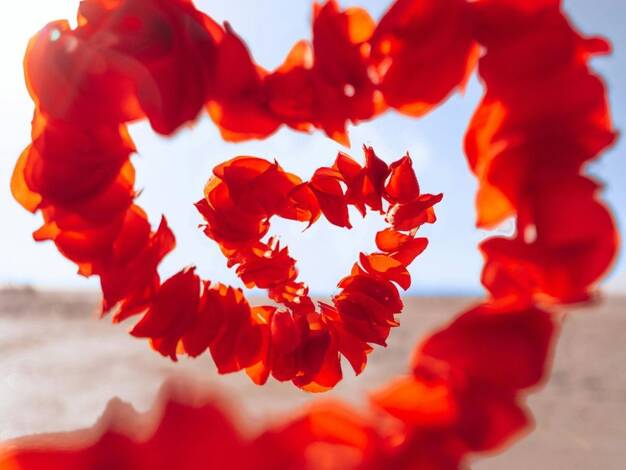 Doppelhaushälfte zum Kauf 778.900 € 5 Zimmer 189,3 m² 378 m² Grundstück Sasel Hamburg 22393