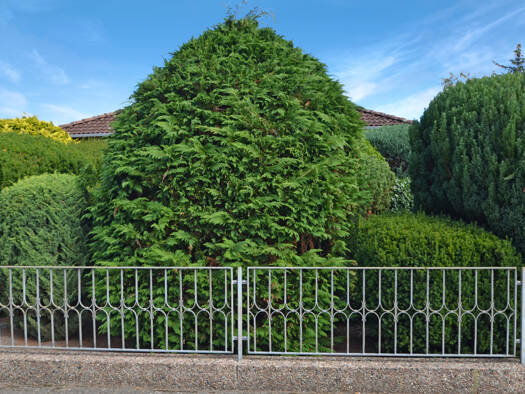 Einfamilienhaus zum Kauf 269.000 € 5 Zimmer 146 m² 610 m² Grundstück Westercelle Celle 29227