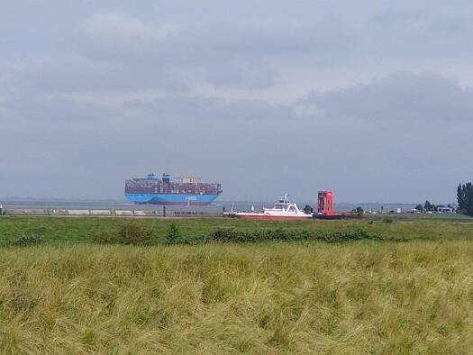 Grundstück zum Kauf 998.000 € 1.200 m² Grundstück Baugenehmigung vorhanden Blomesche Wildnis 25348