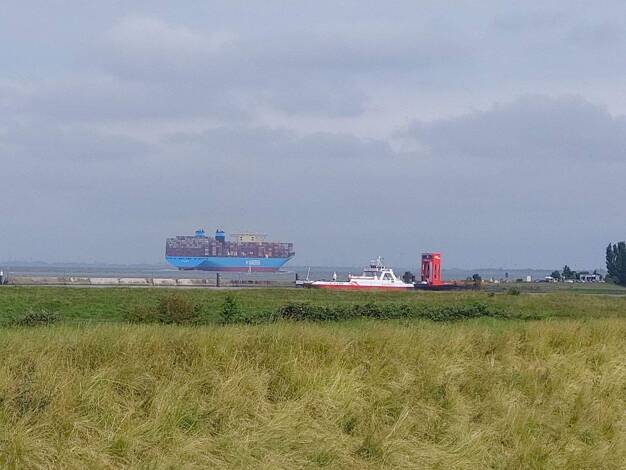 Grundstück zum Kauf 998.000 € 1.200 m² Grundstück Baugenehmigung vorhanden Blomesche Wildnis 25348