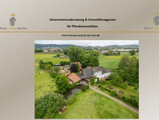Landwirtschaftliche Fläche zum Kauf 1.900.000 € 50.000 m² Grundstück Bad Zwesten Bad Zwesten 34596