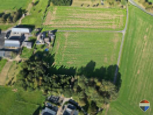 Land-/Forstwirtschaft zum Kauf 389.000 € 23.670 m² Grundstück Schneppenbaum Bedburg-Hau 47551