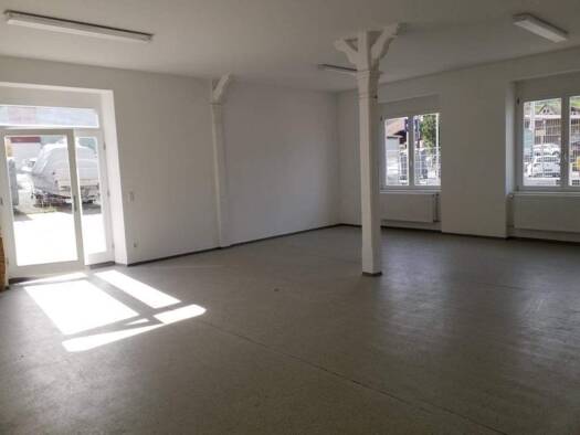 Lagerhalle zur Miete 960 € 133 m² Lagerfläche teilbar ab 43 m² Oppenau 77728