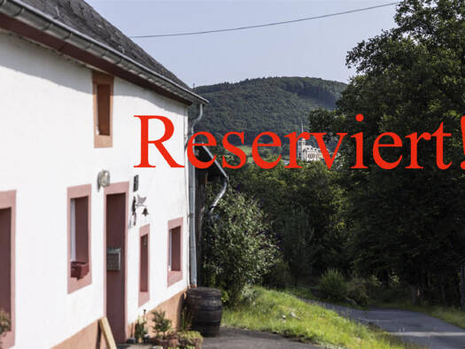 Einfamilienhaus zum Kauf 135.000 € 5 Zimmer 110 m² 1.654 m² Grundstück Daleiden 54689
