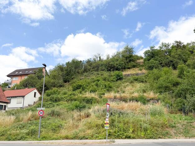 Grundstück zum Kauf 279.000 € 3.932 m² Grundstück Unterdürrbach Würzburg 97080