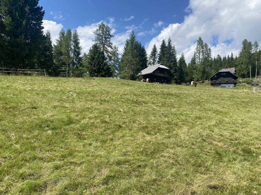 Grundstück zum Kauf als Kapitalanlage geeignet 279.000 € 1.967 m² Grundstück Reichenau 9565