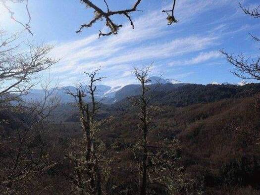 Grundstück zum Kauf 60.000 € 20.000 m² Grundstück Curarrehue/ Quililche 4920000